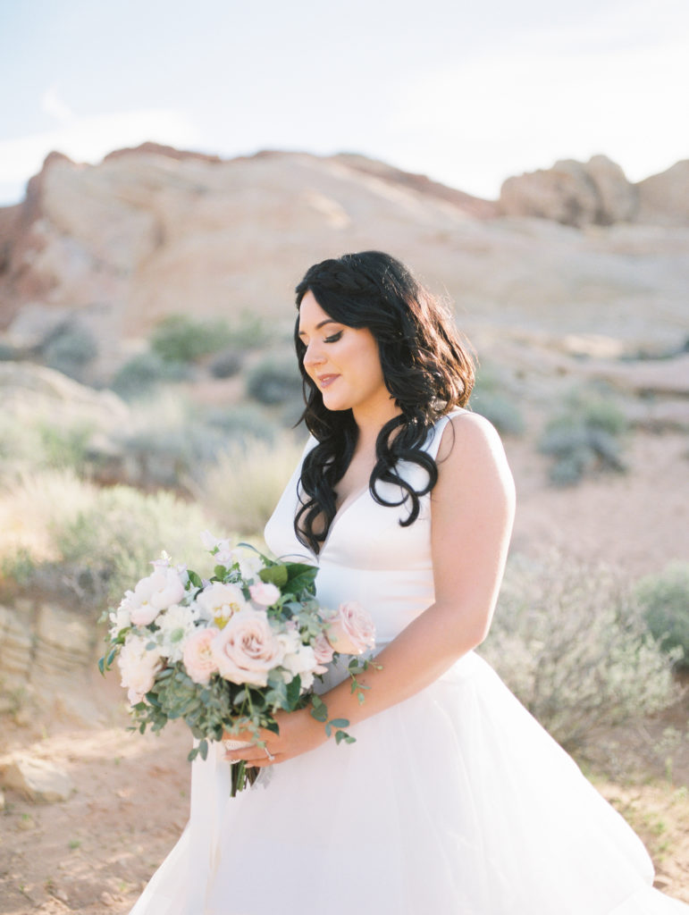 Bride and Bouquet - Valley of Fire