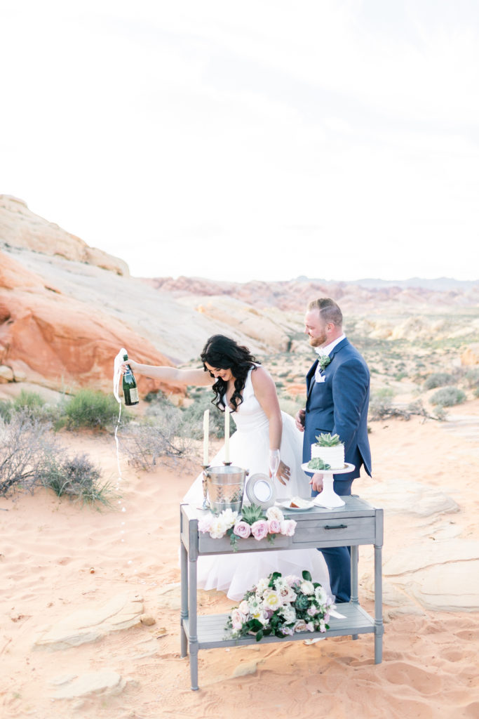 Bride and Groom Champagne Toast - Valley of Fire